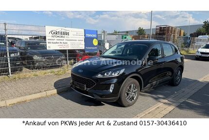 Ford Kuga Gebrauchtwagen