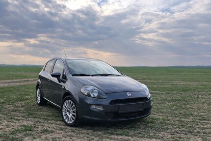 Fiat Punto Gebrauchtwagen