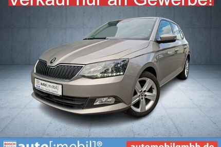 Skoda Fabia Gebrauchtwagen