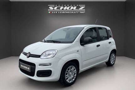 Fiat Andere Gebrauchtwagen