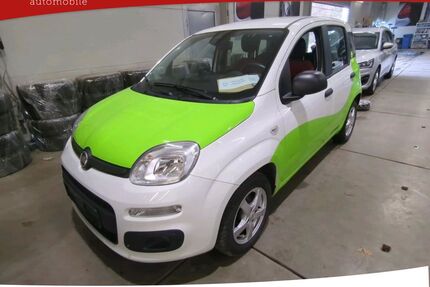Fiat Panda Gebrauchtwagen