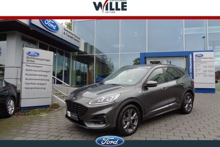 Ford Kuga Gebrauchtwagen