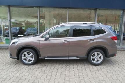 Subaru Forester Gebrauchtwagen