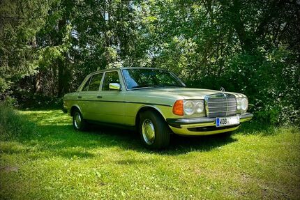 Mercedes-Benz E 230 Gebrauchtwagen