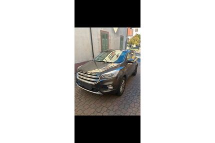 Ford Kuga Gebrauchtwagen
