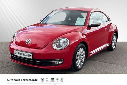 VW Beetle Gebrauchtwagen