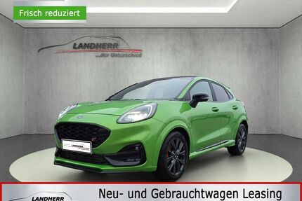 Ford Puma Gebrauchtwagen