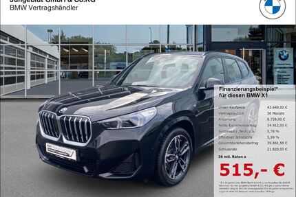 BMW X1 Gebrauchtwagen