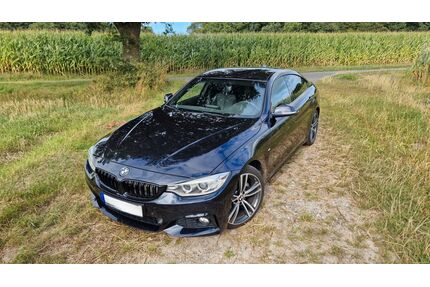 BMW 430 Gran Coupé Gebrauchtwagen