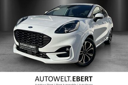 Ford Puma Gebrauchtwagen