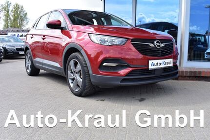 Opel Grandland (X) Gebrauchtwagen