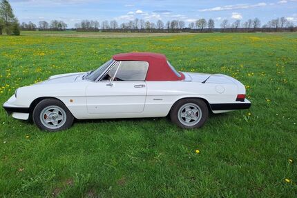 Alfa Romeo Spider Gebrauchtwagen