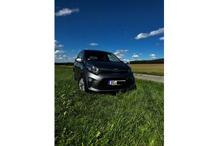 Kia Picanto Gebrauchtwagen