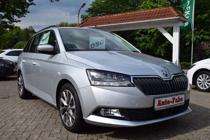 Skoda Fabia Gebrauchtwagen