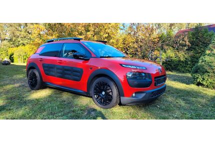 Citroen C4 Cactus Gebrauchtwagen