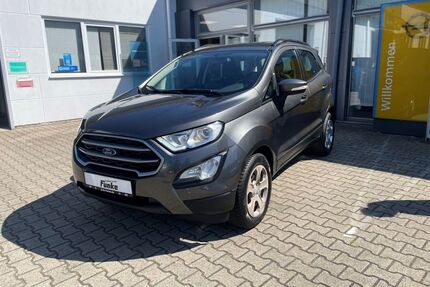Ford EcoSport Gebrauchtwagen