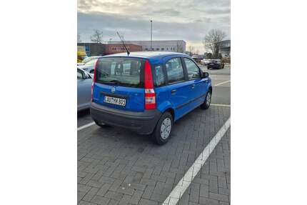 Fiat Panda Gebrauchtwagen