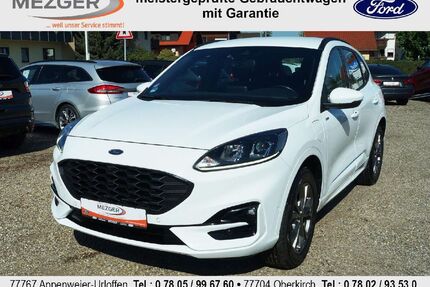 Ford Kuga Gebrauchtwagen