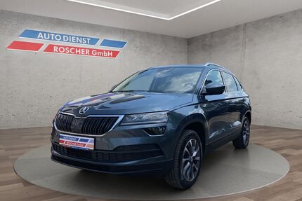 Skoda Karoq Gebrauchtwagen