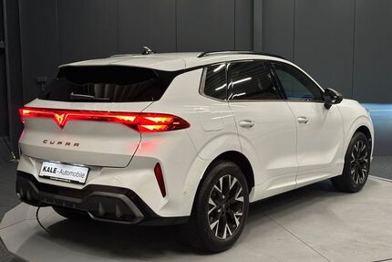 Cupra Terramar Gebrauchtwagen