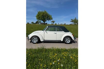 VW Käfer Gebrauchtwagen