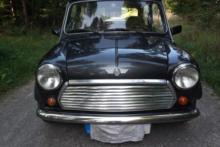 Rover Andere Gebrauchtwagen