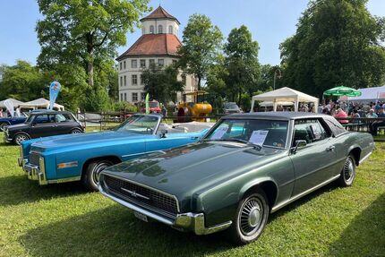 Ford Thunderbird Gebrauchtwagen