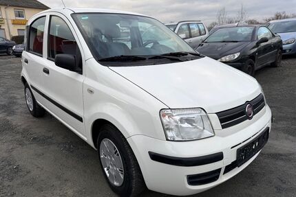 Fiat Panda Gebrauchtwagen