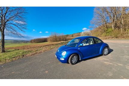 VW New Beetle Gebrauchtwagen