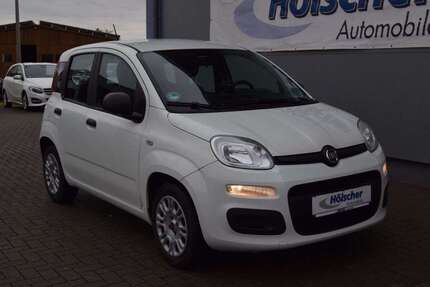 Fiat Panda Gebrauchtwagen