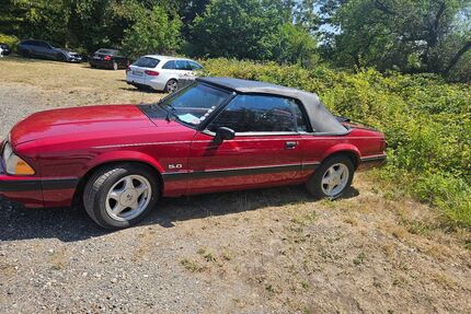 Ford Mustang Gebrauchtwagen