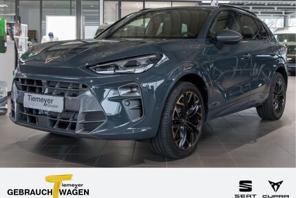 Cupra Terramar Gebrauchtwagen