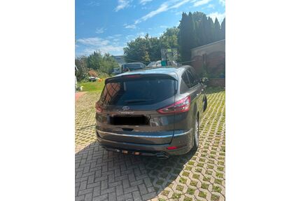 Ford S-Max Gebrauchtwagen