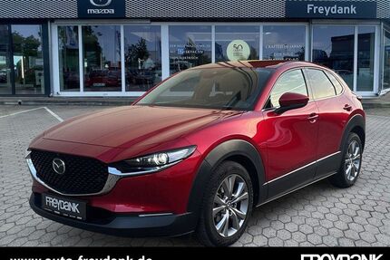 Mazda CX-30 Gebrauchtwagen
