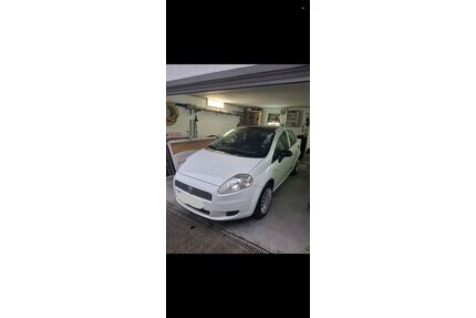 Fiat Punto Gebrauchtwagen