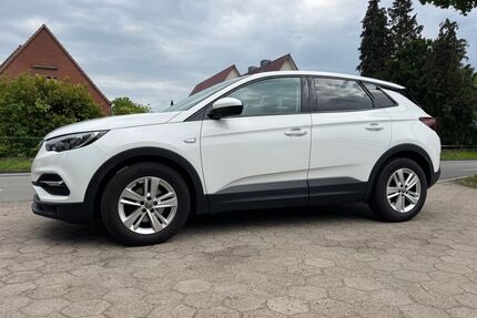 Opel Grandland (X) Gebrauchtwagen