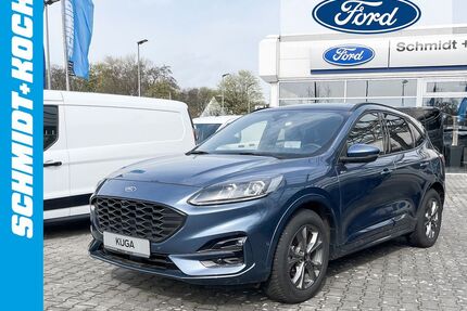 Ford Kuga Gebrauchtwagen