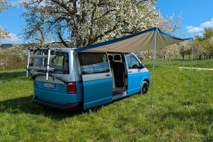 VW T6 Transporter Gebrauchtwagen