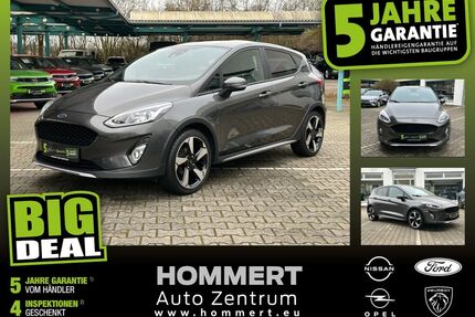 Ford Fiesta Gebrauchtwagen