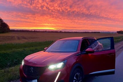 Peugeot e-2008 Gebrauchtwagen