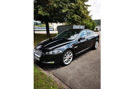 Jaguar XF Gebrauchtwagen