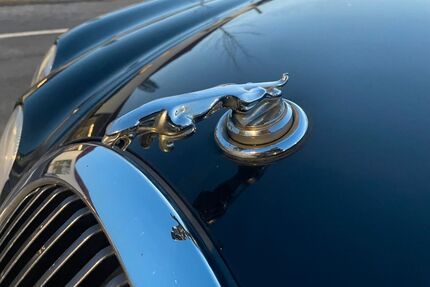 Jaguar S-Type Gebrauchtwagen