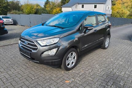 Ford EcoSport Gebrauchtwagen