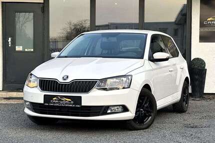 Skoda Fabia Gebrauchtwagen