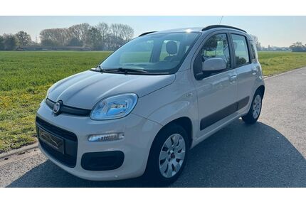 Fiat Panda Gebrauchtwagen