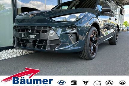 Cupra Terramar Gebrauchtwagen