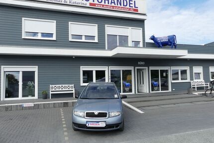 Skoda Fabia Gebrauchtwagen