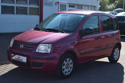 Fiat Panda Gebrauchtwagen