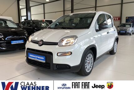 Fiat Panda Gebrauchtwagen
