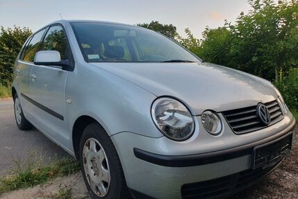 VW Polo Gebrauchtwagen